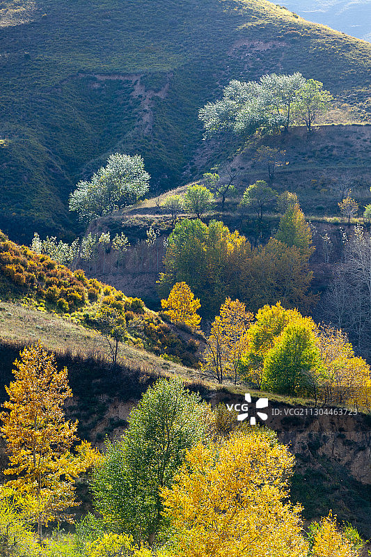 雁门关古长城017图片素材