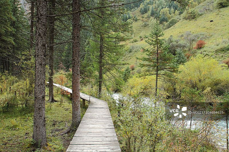 甘肃省卓尼县的大峪沟图片素材