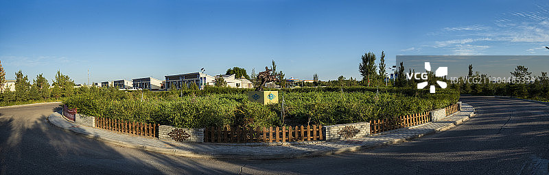 宁夏中卫市环香山地区硒砂瓜田图片素材