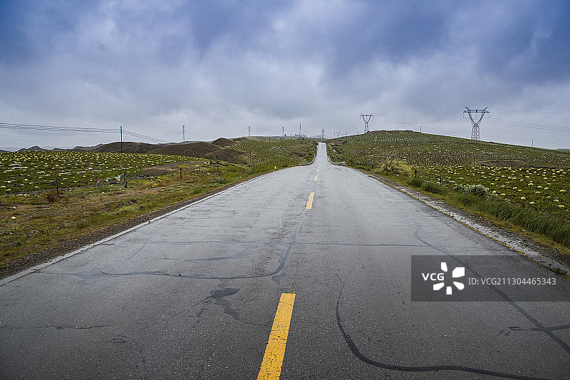 宁夏中卫市环香山地区硒砂瓜田图片素材
