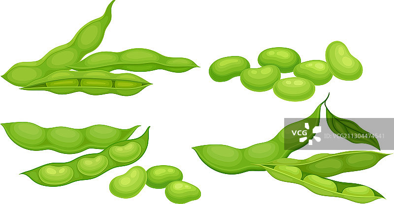 绿色的豆荚，里面是绿色的叶子和大豆图片素材