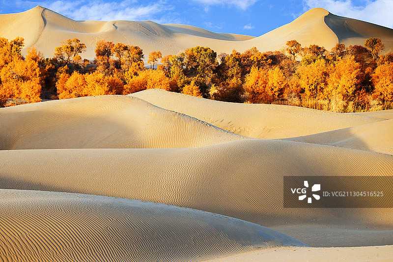 新疆塔克拉玛干大沙漠风光图片素材