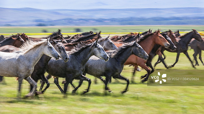 新疆风光图片素材