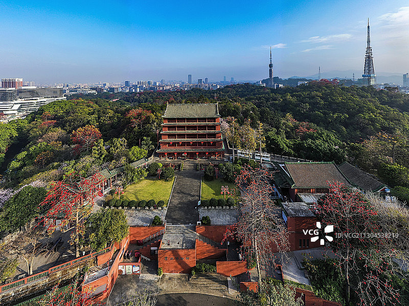 广州博物馆图片素材