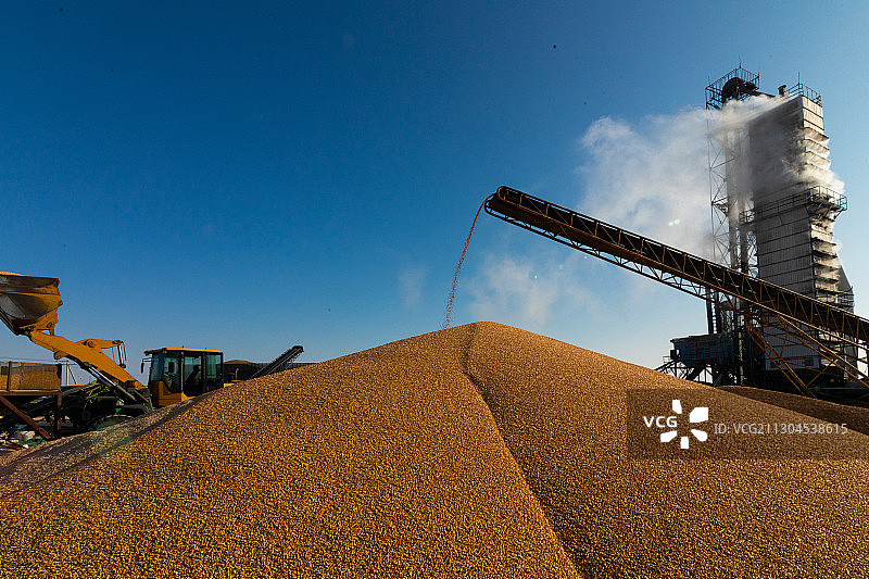 玉米大粮仓图片素材