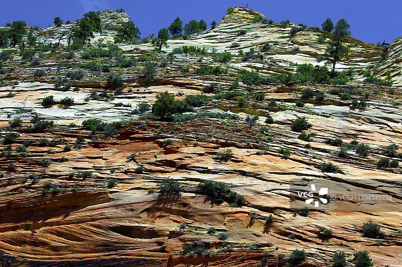 锡安国家公园图片素材