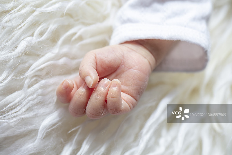 新生婴儿手部特写图片素材