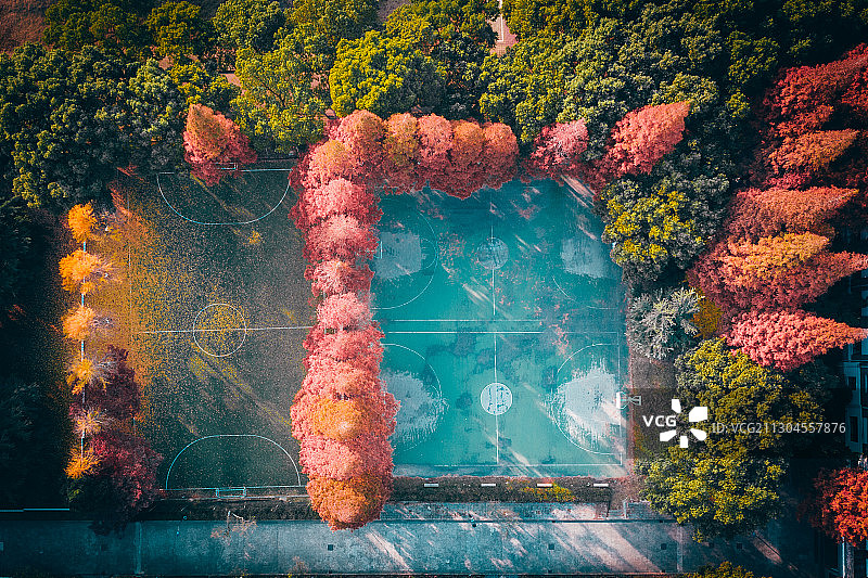 苏州大学，秋天的色彩。五彩树木围绕的球场。图片素材