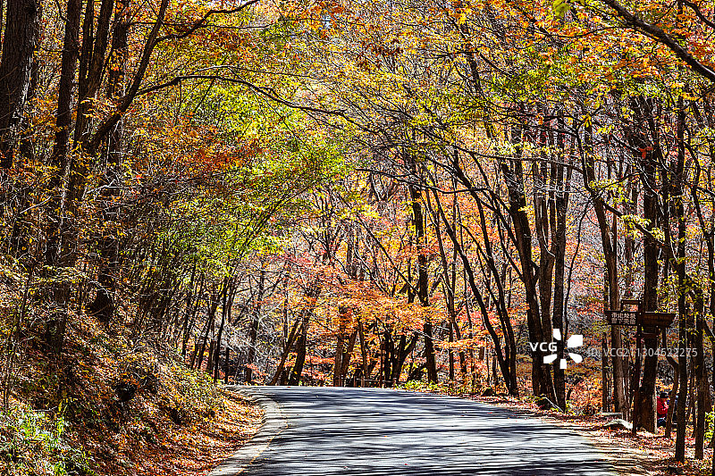 本溪关门山秋色图片素材