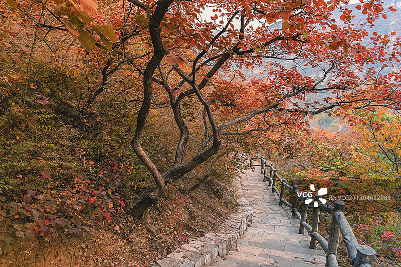 北京坡峰岭秋色图片素材