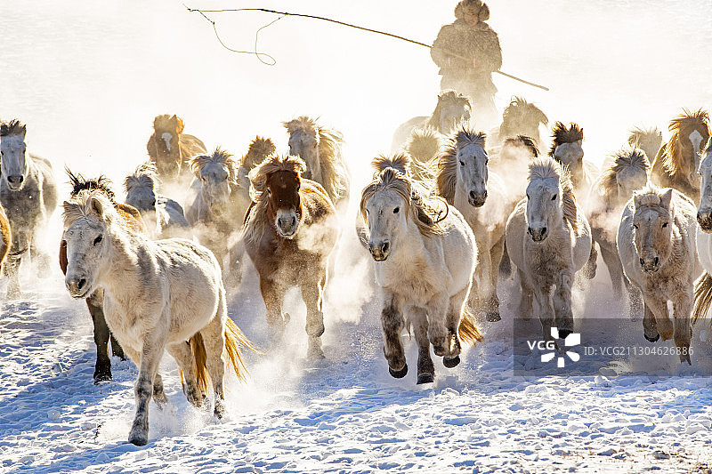 万马奔腾图片素材