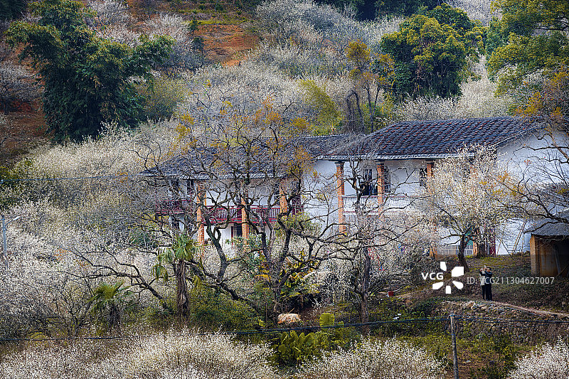 春到农家图片素材