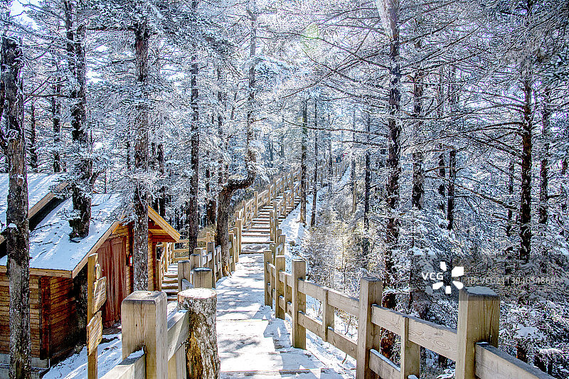 四川大邑县西岭雪山密林中的栈道图片素材