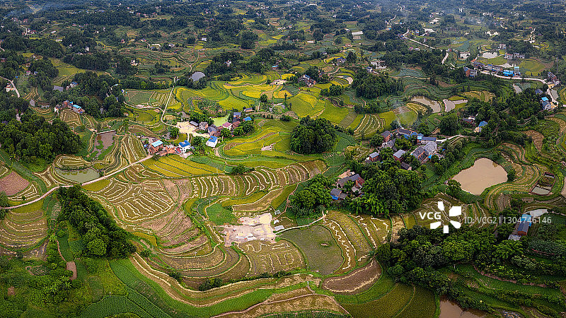 重庆乡村田园秋色美如画图片素材