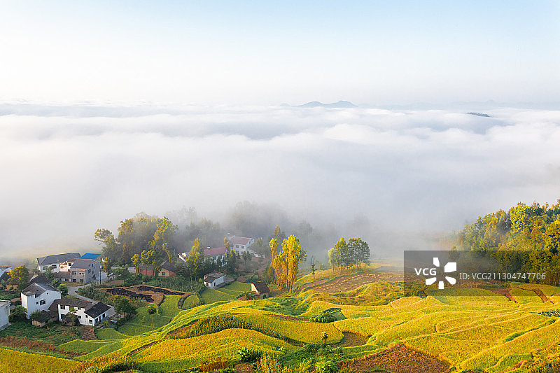 云海下的村庄古梯田图片素材