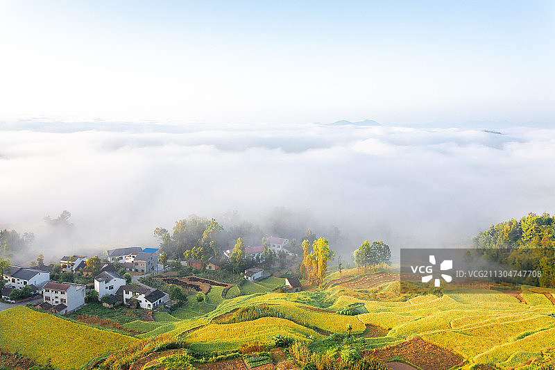云海下的村庄古梯田图片素材