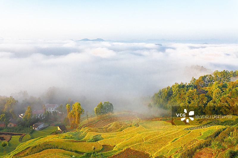 云海下的村庄古梯田图片素材