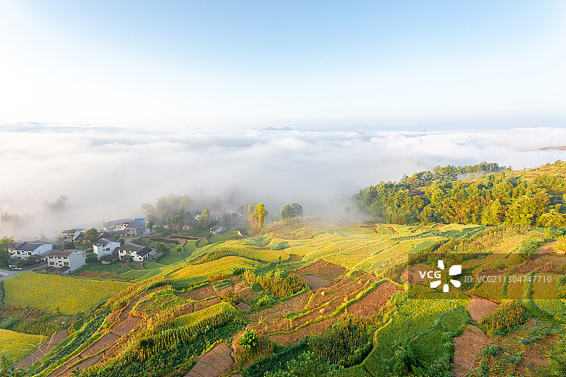 云海下的村庄古梯田图片素材