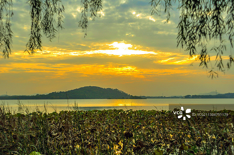 湖北武汉蔡甸后官湖湿地公园图片素材