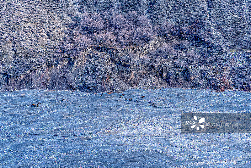 峡谷放牧图片素材