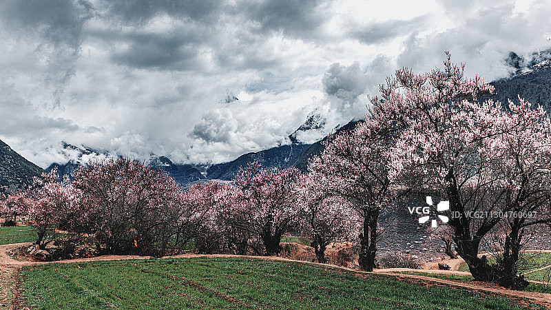 索松村图片素材