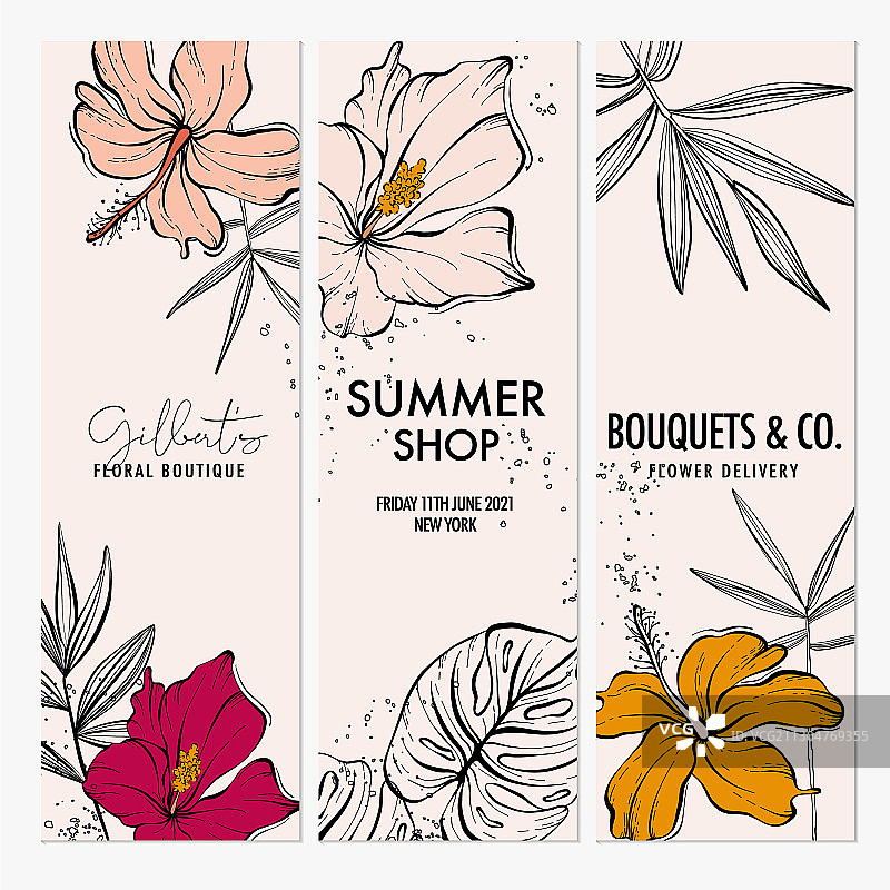 热带芙蓉花背景图片素材