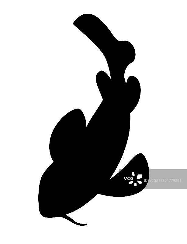 黑色剪影锦鲤 - 日本幸运符号图片素材