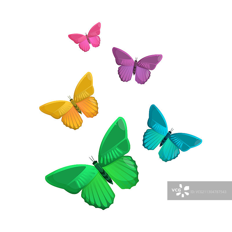 白色背景上的彩色蝴蝶素材图片素材