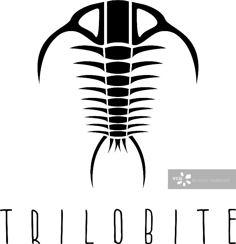 节肢动物化石三叶虫古生代设计图片素材