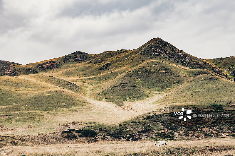 甘南风光图片素材