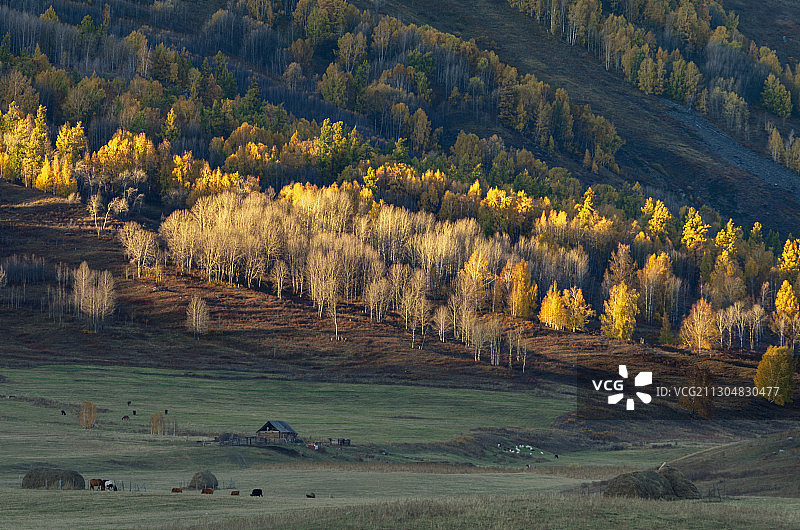 禾木日落图片素材
