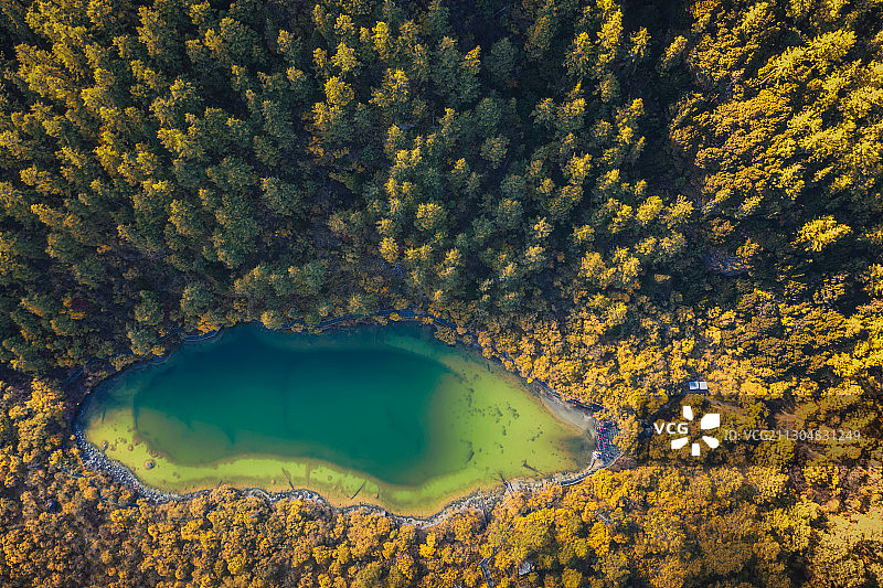 亚丁秋色图片素材