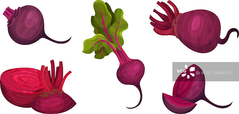 切开和完整的带绿叶甜菜根图片素材