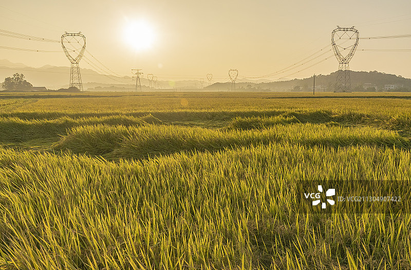 金秋十月图片素材