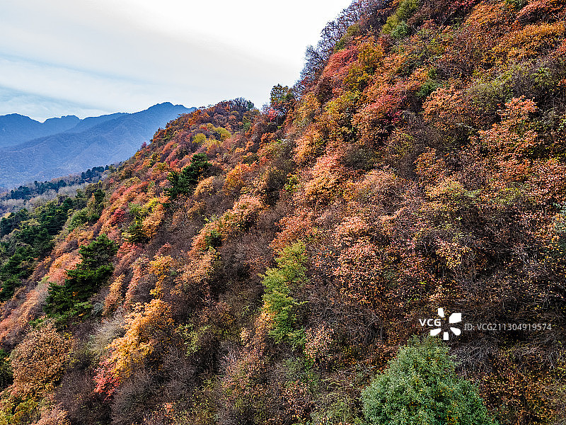 西安翠华山秋景航拍图片素材