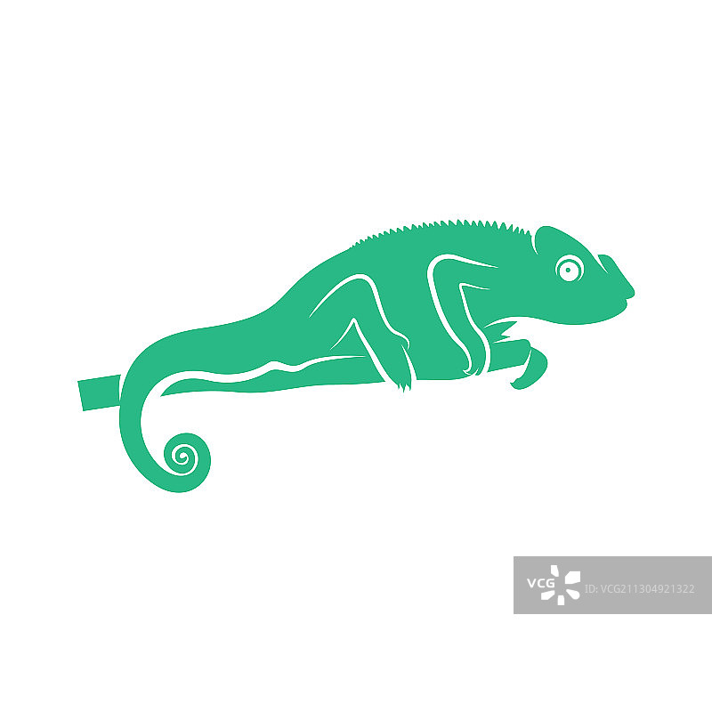 变色龙Logo设计图标符号模板图片素材