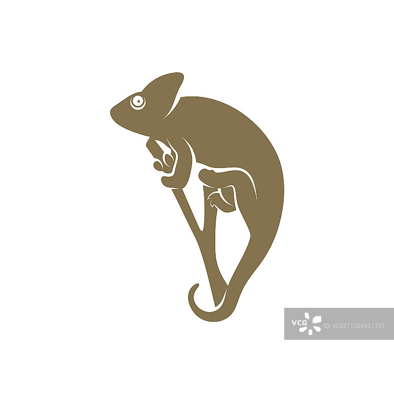 变色龙Logo设计图标符号模板图片素材