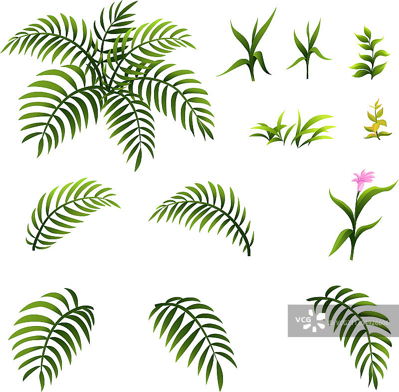 美观的装饰花园灌木图片素材