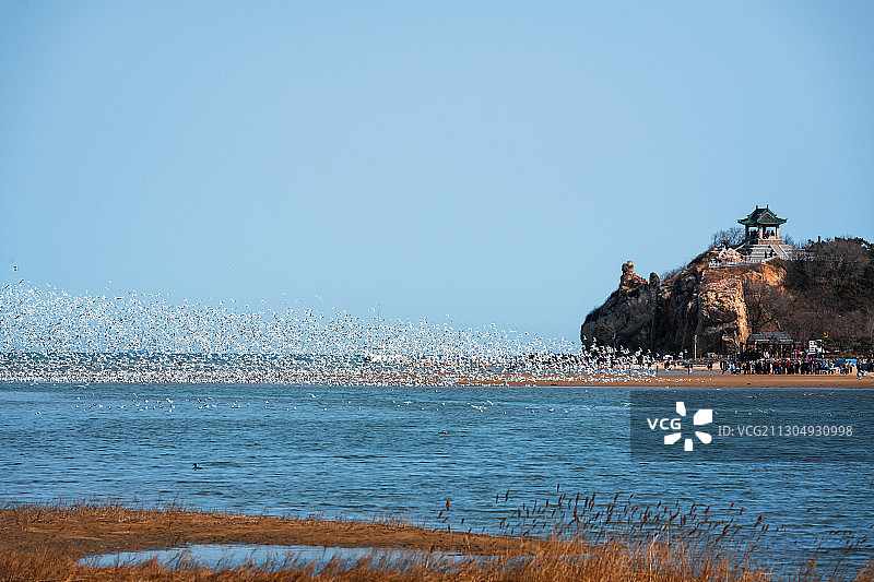 中国河北秦皇岛北戴河鸽子窝公园海景风光图片素材