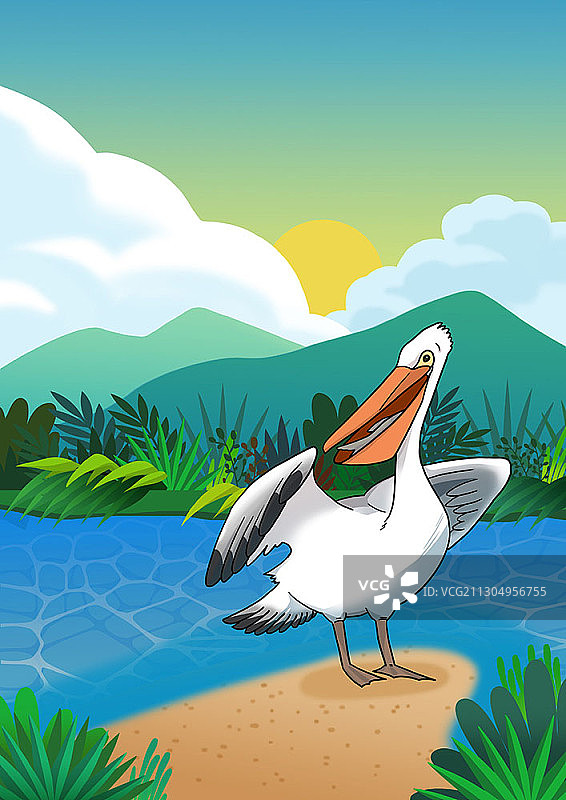 鹈鹕在河边沙滩上捕鱼图片素材