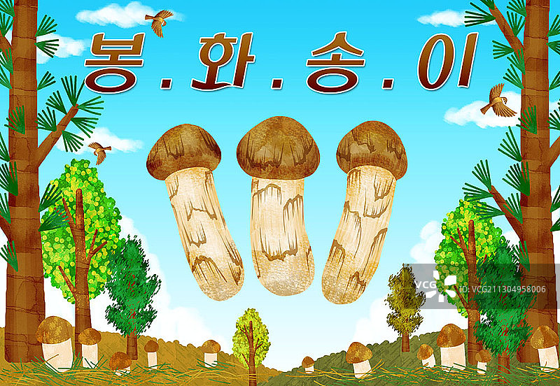 奉化松茸图片素材