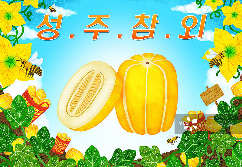 星州香瓜图片素材