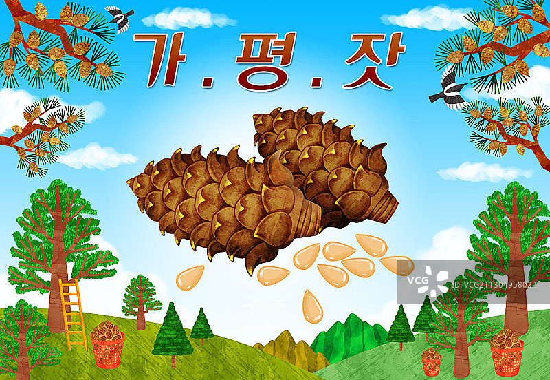 加平松子图片素材