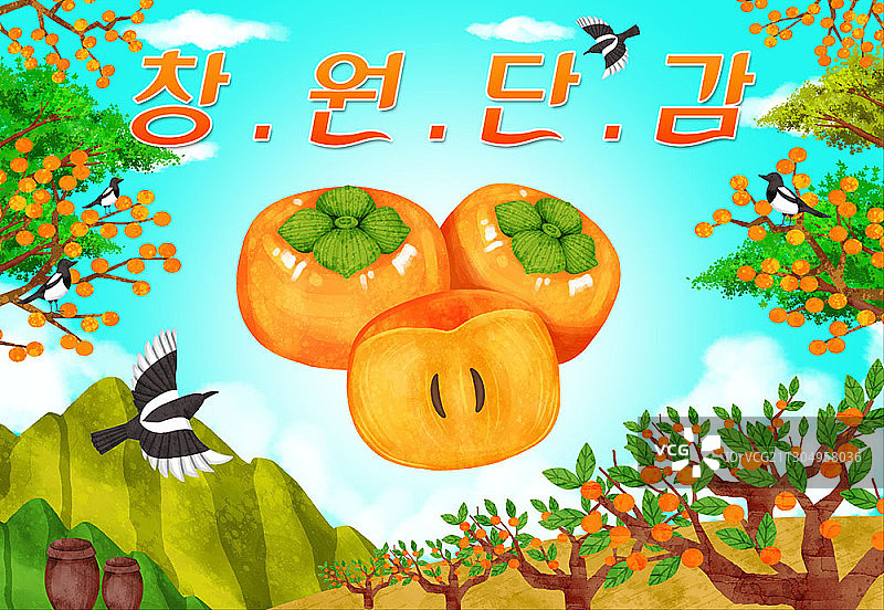 昌原亚洲柿子图片素材
