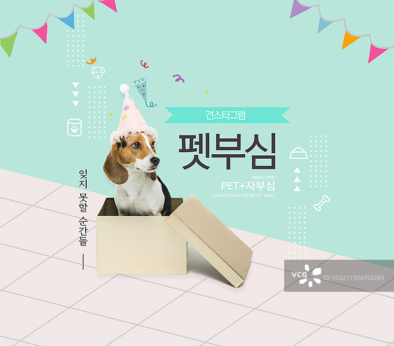 盒子里的幼犬图片素材