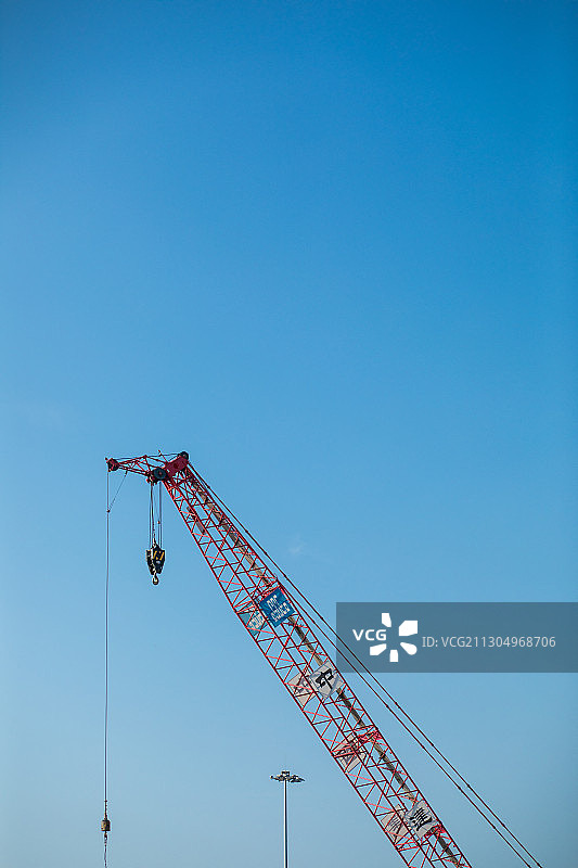 作业中-深圳湾的花花草草2020101158图片素材