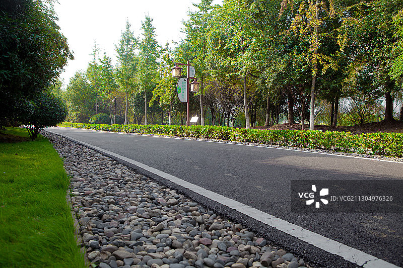 公园里的林荫小道图片素材