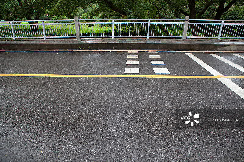 两旁长满绿植的城市道路图片素材