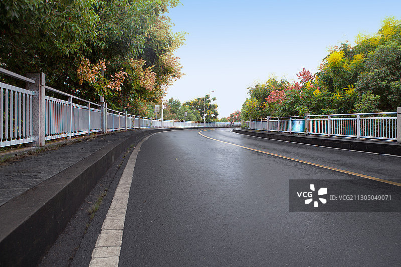 两旁长满绿植的城市道路图片素材