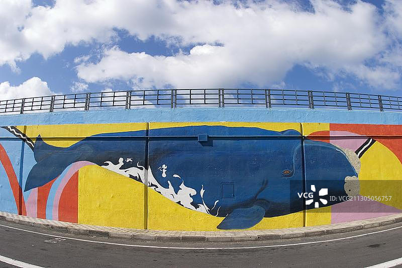 特内里费岛洛斯克里斯蒂亚诺斯鲸鱼和海豚的真人大小壁画图片素材